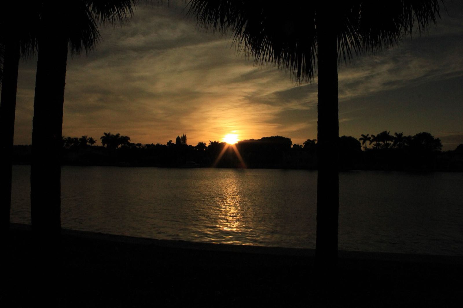 Coucher de soleil sous les palmiers à Miami
